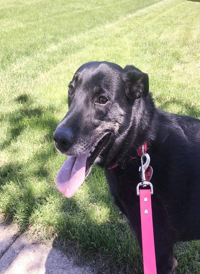 DIY Crafts Swivel Snap Hooks, Metal Heavy Duty Square Eye Clasp Buckle Trigger Clip Multi Best Spring Pet Buckle Key Chain for Linking Dog Leash Collar, Handmade (9, Nickel Silver) - Image 5